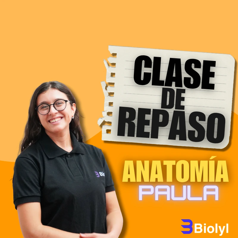 Clase de Repaso Práctico-Anatomía