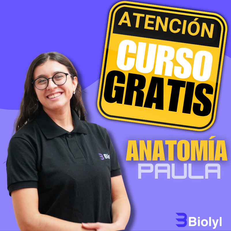 Curso Gratis de Anatomía