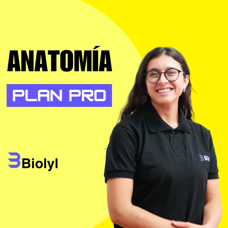 Anatomía PRO UBA Medicina