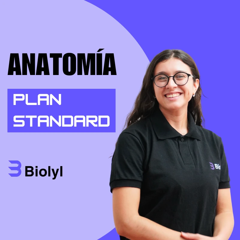Anatomía STANDARD UBA Medicina