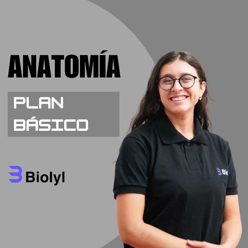 Anatomía BÁSICO UBA Medicina