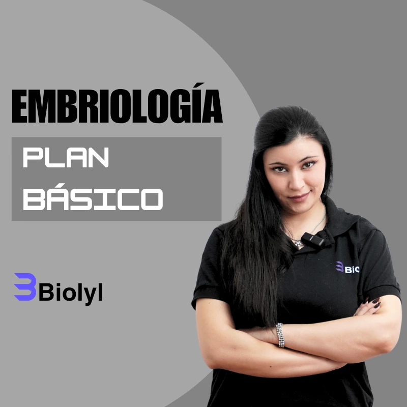 Embriología BÁSICO UBA Medicina
